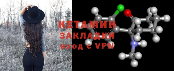 гидра Богородицк