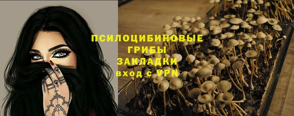 гидра Богородицк