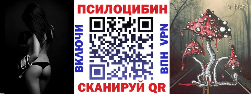 Псилоцибиновые грибы Psilocybe  Обь 